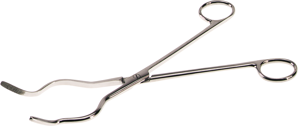 Stainless Steel Tongs