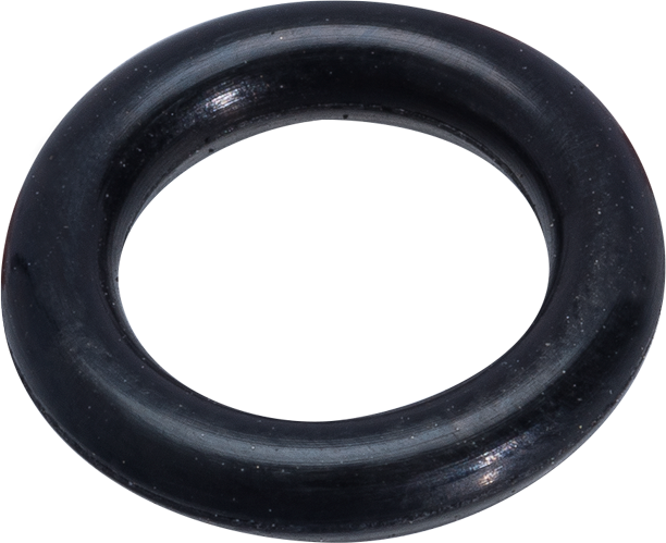 Valve O-Ring