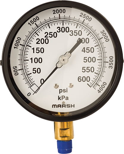 Pressure gauge for Autoclave