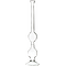 Specific Gravity Flask (Chapman)