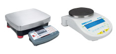 scales image